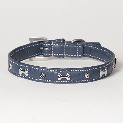 Small Soft Blue Napa Leather Padded Decorated Azzurro Dog Collar - Fits 12" - 14" Neck Size