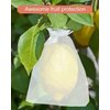 Kslong 100PCS Small Mesh Bags Drawstring 3x4,Sheer Organza Bags Drawstring for Jewelry, Mesh Party Wedding Favor Bags for Small Business,Candy,Bracelet Packaging,Empty Sachet Bags (White)