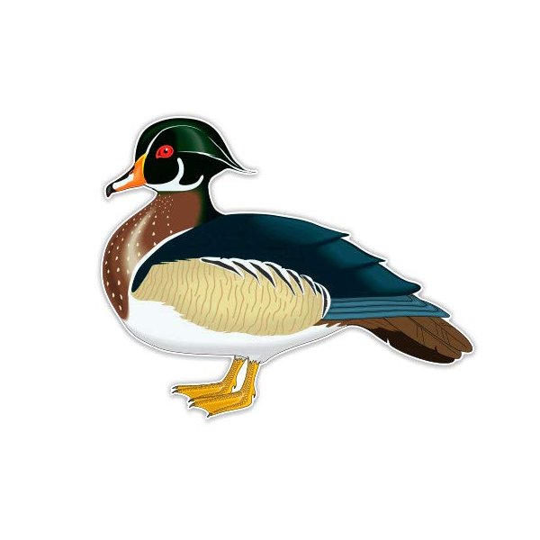 Wood Duck - 8" Vinyl Sticker - for Car Laptop I-Pad - Waterproof Decal