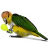 3PCS- Colourful Mini Ball Sand Hammer Parrot Rattle Shaker Musical Sound Toy Intelligent Sand Hammer Toys for Parakeets Canaries Cockatiels Conure Lovebirds(Random Color)