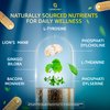 LetaGreen Organic Lions Mane Supplement Capsules - 120 Real Mushrooms Lion's Mane Capsules with Ginkgo Biloba Herb, Bacopa Monnieri, L Theanine, L Tyrosine - Mushroom Complex for Daily Wellness