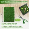 DUSPRO 2Pcs 10x7 Inches Sheet Moss for Potted Plants, Florist Moss for Plants Indoor, Green Moss for Planters, Moss Sheets for Crafts, Preserved Moss Wall Art, DIY Project