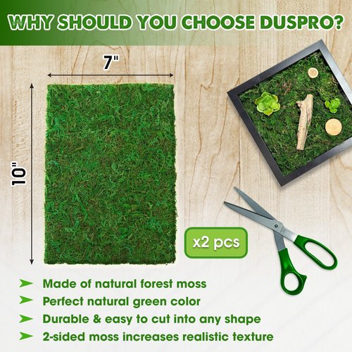 DUSPRO 2Pcs 10x7 Inches Sheet Moss for Potted Plants, Florist Moss for Plants Indoor, Green Moss for Planters, Moss Sheets for Crafts, Preserved Moss Wall Art, DIY Project