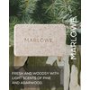 MARLOWE. No. 102 Men's Body Scrub Soap 7 oz (3 Bars) Fresh Original Woodsy Scent, Best Exfoliating Bar for Men, Natural Ingredients, Apricot Seed Powder, Shea Butter, Olive Oil, Green Tea Extracts