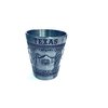 Texas Shot Glass Pewter Design