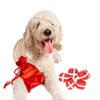 Midlee Santa's Gift Bag Dog Toy - 2.5"