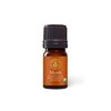 Aromatics International Premium Organic Myrrh Essential Oil 5ml | 100% Pure Essential Oil for Diffusion, Aromatherapy & Wellness Use