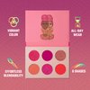 Juvia's Place Palette The Sweet Pinks - Deep Fuchsia, Soft & Sweet Pink, Shades of 6, Pressed Pigments Palette, Professional Makeup, Pigmented Pan Palette, Makeup Palette for Color & Shine