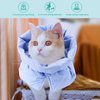 Cat Recovery Collar, Soft Adjustable Cat Cone Alternative, Lightweight Waterproof Fasteners Collars for Cats Kittens Puppies, After Surgery Stop Licking and Daily Use (Neck girt 6.3"-9.1")