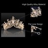 FASOTY Baroque Queen Crown Gold Tiaras and Crowns for Women Girls Crystal Princess Tiara Rhinestone Headband for Bridal Birthday Party Prom Halloween Christmas Costume Cosplay