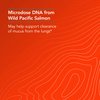 Nutricology Mucolyxir Supplement - Mucus Clearance from Lungs, Mucus Relief, Microdose DNA, Wild Pacific Salmon, Liquid Drops - 0.4 Fl Oz