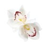 Vividsun Hawaiian Orchid Hair Clip, Orchid Flower Hair Clip For Women, Girl, Beach Summer Hair Accessories