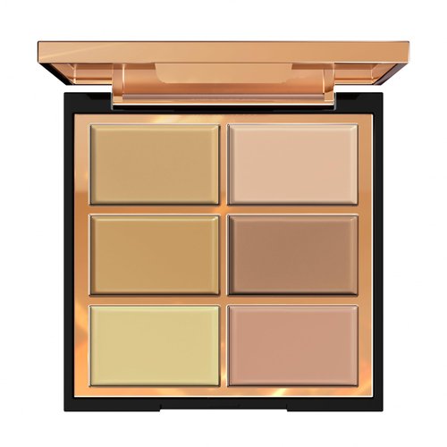 FV 6 Colors Cream Concealer Palette, Full Coverage & Long Lasting Colors Corrector Palette for Dark Circles, Redness, Acne with Natural Finish Cream Foundation Palette, 01 Light Shade