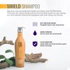 GK HAIR Global Keratin Colored Shield Shampoo (22 Fl Oz/650ml) - Deep Cleansing Moisturizing Heat Protection for Color Treated Dry Damaged Curly Frizzy HAIR - Sulfate Free
