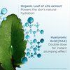 Clarins NEW Hydra-Essentiel Face Mask | Hydrating Face Mask | Visibly Plumper Skin + 24H Hydration* | Revives Radiance | Double Dose Of Hyaluronic Acid | Visibly Smoothes | All Skin Types | 2.5 Oz