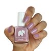 ella+mila Nail Polish, BonBon Collection - Dulce Amor - Long-Lasting & Chip Resistant Formula (0.45 fl oz each)