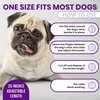 Royce Naturals 4 Pack Calming Collar for Dogs, Pheromone Breakaway Dog Collar, Separation Anxiety Relief for Dogs, Purple, (PETCOL01-3PP)