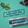 CLIF BUILDERS - Protein Bars - Chocolate Mint - 20g Protein - Gluten Free (2.4 Ounce, 12 Count)