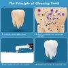 Pelzzle Rechargeable Tooth Polisher Kit for Daily Cleaning, Whitening and Polishing, Electric Dental Teeth Polisher with LED Light, 5 Brush Heads, 5 Speed Modes, Waterproof