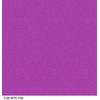 COVERGIRL Colorlicious Lip Perfection Lip Liner Beloved 225, .04 oz (packaging may vary)