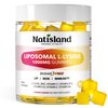 NATISLAND Liposomal L-Lysine Gummies 1000mg, Lysine Supplement for Adults & Kids, Chewable Lysine with Zinc for Lips & Oral Health, Immune & Collagen Support, Vegan, Sugar Free, Lemon Flavor, 60 Count