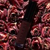 Viseart Paris Moisture Boost Oil Lip Shine (Cerise)
