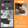 Cat Food Bowls for Indoor Cats Ceramic Cat Bowls Whisker Friendly Cat Dishes for Food and Water 5.5 Inches Kitten Bowls Cute Cat Feeding Bowls Set 6 Cat Wet Food Bowl Set Shallow Cat Plate
