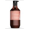 Theorie SAGE, AMBER ROSE, Hydrating Conditioner, dry to normal hair, Amino Complex, 27 fl oz / 800 ml