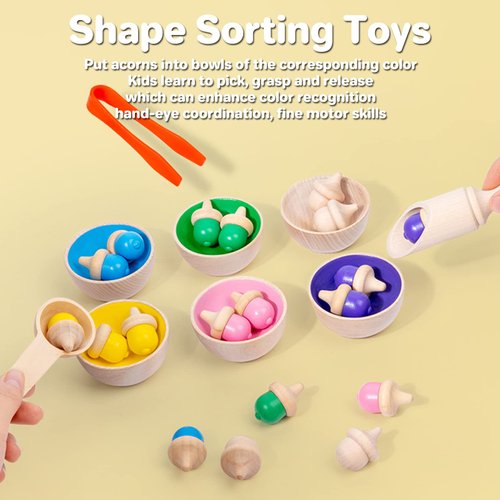 Color Sorting Toys for Toddlers, Wooden Acorns Counting Toys with Bowls Tweezer Spoon Color Learning Activities Teaching Toy Color Matching Game Montessori Toys Gift for Kids Boys Girls
