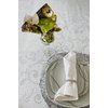 AM Decor Easter Luncheon Paper Napkins 20-Count Dinner Paper Napkins Servilities13" x 13"(Unfolded) (Eggs Among Catkins)