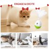 PETGEEK Laser Pointer Cat Toy Interactive Cat Toy for Indoor Cat Toys, Cat Laser Toy with Bird Squeaky, Cat Toy with Cat Wand Replacement, Best Gift for Birthday, Thanksgiving, Christmas, New Year