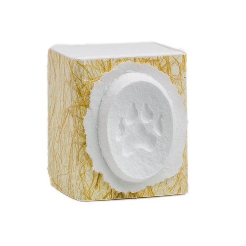 Earth Memorials Biodegradable Pet Urn (Dog Paw Box) Biodegradable Pet Urn for Scattering Cremated Ashes in a Favorite Place® Eco Friendly Eco Urn for Dogs