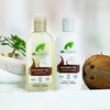 Organic Doctor Organic Virgin Coconut Oil Conditioner, 9 fl.oz.