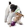 PetSafe Busy Buddy Twist 'n Treat Dispensing Dog Toy - Medium