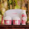 LaLicious Endless Summer Travel Body Care Set - Includes Gentle Body Exfoliator & Sugar Scrub + Hydrating Whipped Body Butter + Moisturizing Body Oil - Glowing Skin Essentials Body Care Kit
