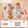 TOYHDAYO Silicone Alphabet Puzzle for Toddlers 1-3, Alphabet Toys with Puzzle Board & Letter Blocks ABC Letter Puzzles, Educational Learning Toys for Toddlers, Best Preschool Education Gift