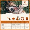Wildfang® Chewing Toy Robin for Dogs - 100% Natural Rubber