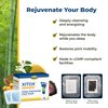 Simple Promise - Xitox Deep Cleansing Foot Pads - Rejuvenates Your Body for More Restful Sleep - Alleviates Tension - Contains Natural Herbal Ingredients - 30 Foot Pads