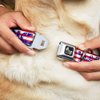 Dog Collar Seatbelt Buckle Merica Stripes Stars Red White Blue 13 to 18 Inches 1.5 Inch Wide
