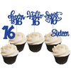 30Pcs 16th Birthday Cupcake Toppers Sixteen Happy 16th Cupcake Picks Cheers to 16 Sweet 16 Cake Decorations for 16th Birthday Anniversary Party Supplies Deep Blue Glitter