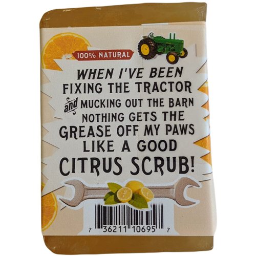 Cheeky Ginger Citrus BAR SOAP Orange Grapefruit Lemon Ginger