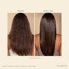 VEGAMOUR HYDR-8 Hydrate and Repair Conditioner - Hydrating Conditioner with Marula Oil, Moringa Oil, Ceramides & Biotin, Natural Conditioner for Dry Hair