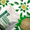 Bhringraj Powder or False Daisy (Eclipta Alba) | 100 Grams (3.5 Ounces) | 100% Natural, Organic, Herbal Supplement, Hair Conditioner | Henna Cosmetics