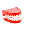 The Dreidel Company Wind Up Teeth Chomping & Chattering Teeth Toys for Kids Birthday Party Favors, Novelty and Gag Gifts, 2.5" Inches (Single)