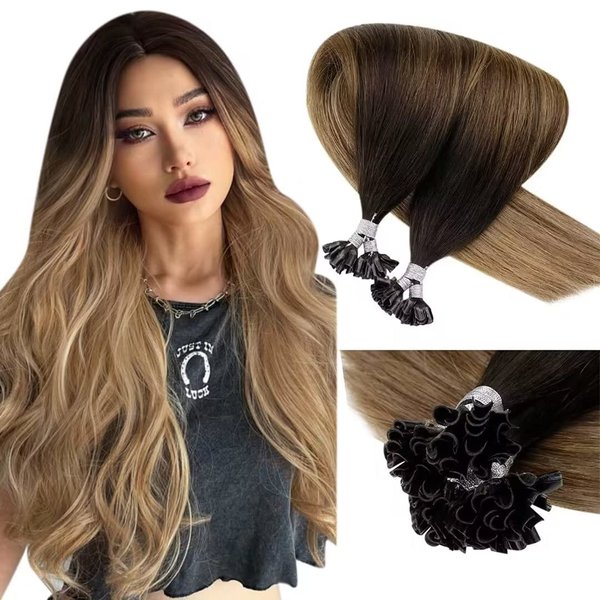 LaaVoo U Tip Hair Extensions Human Hair Ombre Dark Brown to Chestnut Brown with Ash Brown K Tips Hair Extensions Human Hair 20" Fusion K Tip Hair Extensions Real Human Hair Silky Straight 50g/s
