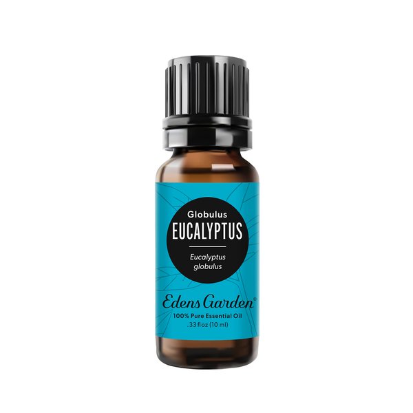 Edens Garden Eucalyptus - Globulus Essential Oil, 100% Pure Therapeutic Grade (Undiluted Natural Aromatherapy Scented Essential Oil Singles) 10 ml