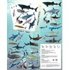 108 Pieces Shark Tattoos Stickers,Shark Themed Tattoos Stickers Party Decoration Supplies Party favors for Kids Adults