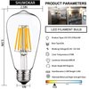 SHUWDKAR LED Light Bulbs DC 12V 6W E26 ST64 Low Voltage Bulb RV Camper Warm White 2700K Vintage Clear Glass Filament Edison Bulbs Equivalent 75W Halogen Marine Boat Solar 12V Battery Lighting,2 Pack