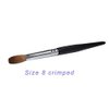Six Angles - Black Handle Kolinsky Acrylic Nail Brush for Manicure Powder (CRIMPED) - (Size #8)