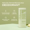 Hey Humans Banana Aloe Vegan, Aluminum Free Deodorant with Natural Ingredients, Coconut Oil & Shea Butter | All Day Odor Protection for Women & Men | 2 oz. - Pack of 3